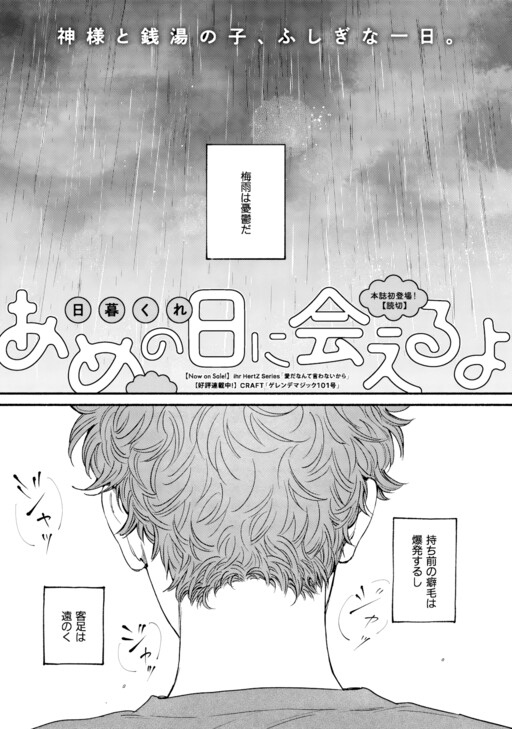 Ame no Hi ni Aeruyo