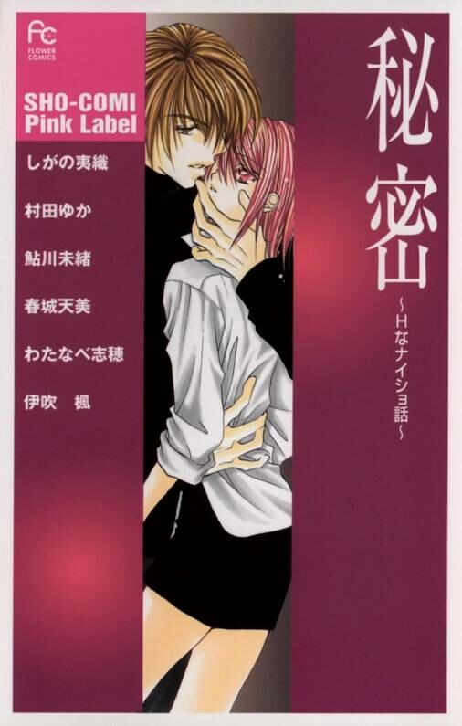 Himitsu - H na Naishobanashi